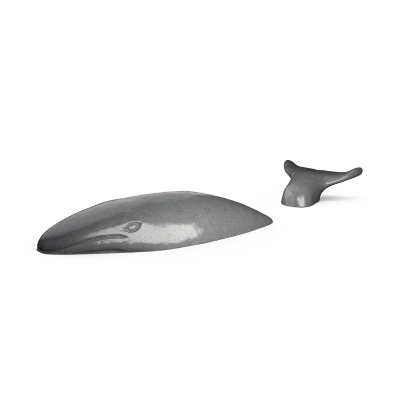 677996d4c6fdc72c7ebc2434_Whale